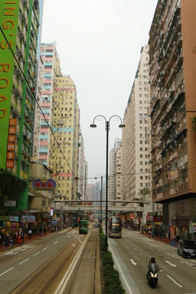 澳門最準(zhǔn)五肖預(yù)測，揭秘準(zhǔn)確預(yù)測背后的秘密，澳門最準(zhǔn)五肖預(yù)測揭秘，準(zhǔn)確預(yù)測背后的秘密探究