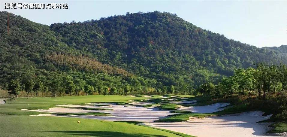 揭秘新澳門天機泄密網(wǎng)址——真相與警示，揭秘新澳門天機泄密網(wǎng)址，真相與風(fēng)險警示