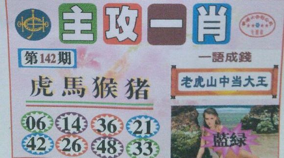 王中王號碼一肖，揭秘背后的秘密與策略，揭秘王中王號碼一肖背后的秘密與策略之道