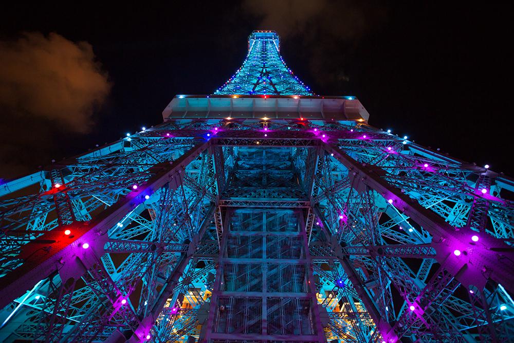 澳門回歸日必開一肖，回顧歷史，展望未來，澳門回歸日回顧與展望，歷史印記下的生肖預(yù)測(cè)與未來展望