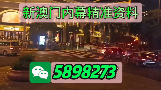 今晚澳門買什么最好？全方位解讀帶你走向勝利之路，澳門今晚買什么最佳？全方位指南引領(lǐng)你走向勝利之路