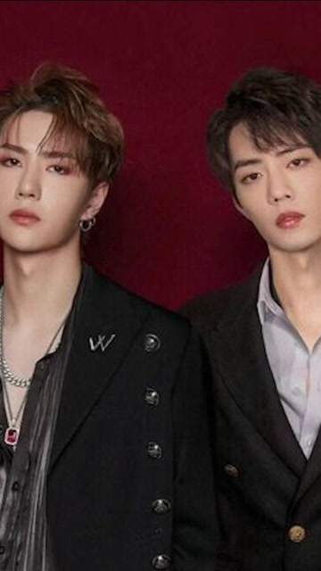 王中王一肖必中，揭秘背后的秘密與策略，揭秘王中王一肖的成功秘訣與策略