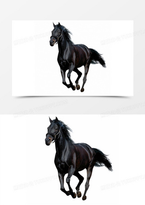 澳門四不像圖正版資料大全下載，探索與指南，澳門四不像圖正版資料大全下載，探索澳門指南與資料下載