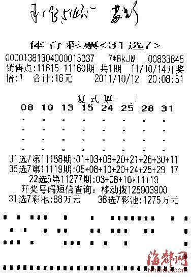 平特一肖王中王論云，探索SEO優(yōu)化與關(guān)鍵詞戰(zhàn)略，探索SEO優(yōu)化與關(guān)鍵詞戰(zhàn)略布局，平特一肖王中王論云