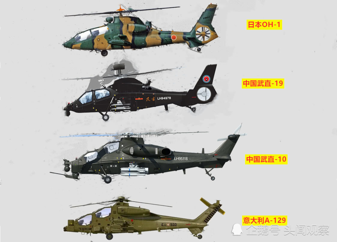 武直19與武直10，中國軍用直升機(jī)的驕傲，中國軍用直升機(jī)驕傲，武直19與武直10的輝煌