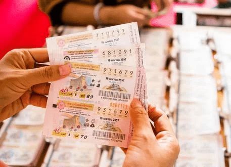 香港平特一肖王中王高手的秘密策略與技巧探索，香港平特高手探索，一肖王中王策略與技巧揭秘