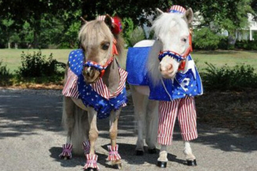 王中王一肖與馬中特的獨特魅力，深度解析與SEO優(yōu)化，王中王一肖與馬中特獨特魅力深度解析，SEO優(yōu)化與獨特魅力探討