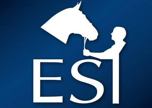 新澳特馬上9點(diǎn)35，探索前沿時(shí)尚與商業(yè)機(jī)遇的交匯點(diǎn)，新澳特馬上9點(diǎn)35，時(shí)尚商業(yè)交匯點(diǎn)探索之旅