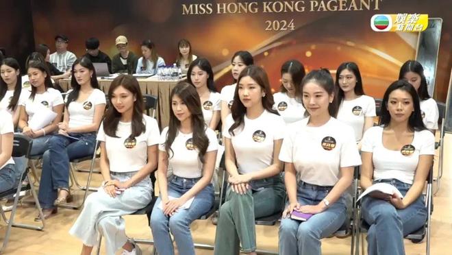 香港鐵算算盤4887狀元紅資料網(wǎng)，免費公開資料大全的奧秘與優(yōu)勢，香港鐵算算盤狀元紅資料網(wǎng)，免費公開資料的奧秘與優(yōu)勢揭秘