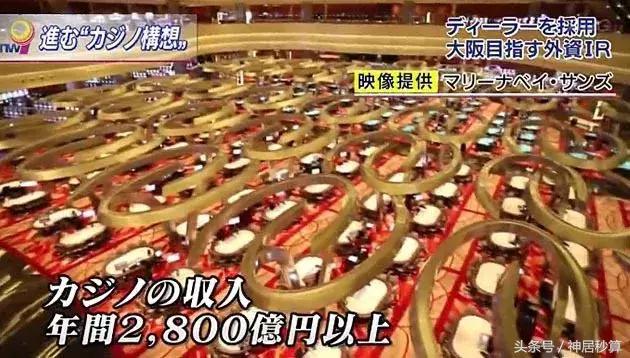 新澳門彩生肖走勢圖，深度解析與預(yù)測，澳門彩生肖走勢圖深度解析及預(yù)測報(bào)告