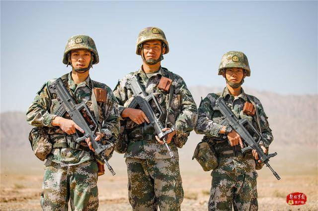 西陸軍網，探索軍事資訊的寶庫，西陸軍網，軍事資訊寶庫探索