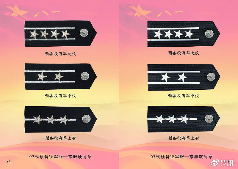 預(yù)備役軍銜一覽表，榮譽(yù)與職責(zé)的象征，預(yù)備役軍銜一覽表，榮譽(yù)與職責(zé)的象征標(biāo)簽