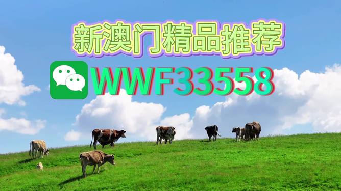 新澳今晚9點30分準確生肖預測——揭秘生肖運勢，把握未來走向，新澳今晚9點30分生肖運勢大揭秘，預測未來走向，把握好運勢！