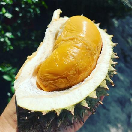 王中王一碼一肖中獎規(guī)則詳解，王中王一碼一肖中獎規(guī)則揭秘