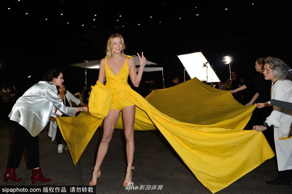 一碼一肖100王中王，揭秘背后的秘密與策略，揭秘一碼一肖100王中王背后的秘密與策略之道