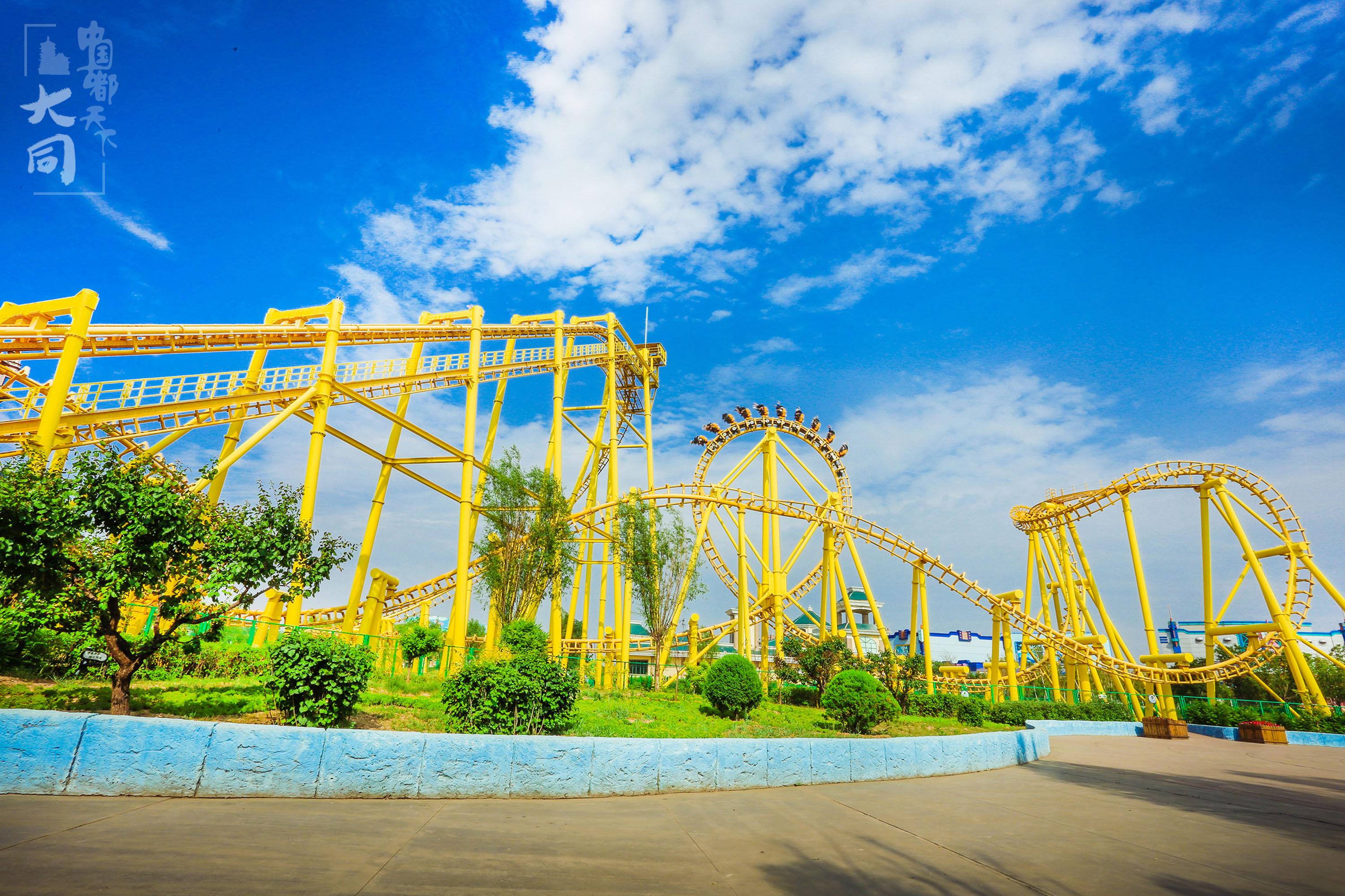 王中王極限一肖，探尋背后的神秘力量與SEO奧秘，王中王極限一肖，神秘力量與SEO奧秘探尋