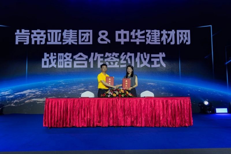 中國戰(zhàn)略網(wǎng)官網(wǎng)SEO文章，中國戰(zhàn)略網(wǎng)官網(wǎng)SEO策略與技巧詳解