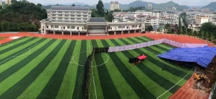 澳門彩票中的秘密，解析數(shù)字4949與一肖一特一中現(xiàn)象，澳門彩票數(shù)字解析，揭秘數(shù)字4949與一肖一特一中現(xiàn)象的秘密