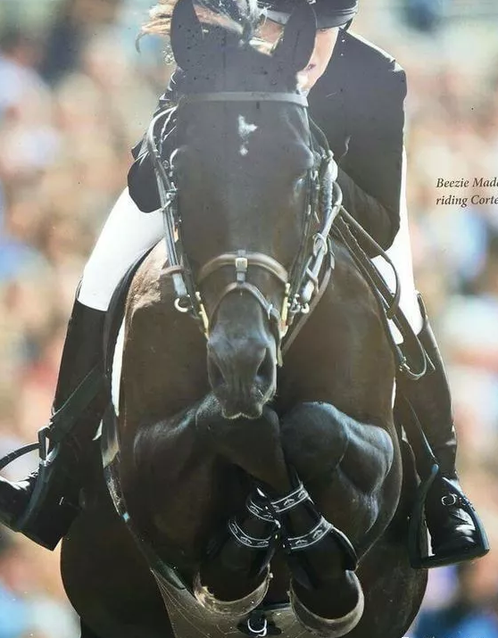 澳門六彩資料開獎(jiǎng)結(jié)果，探索彩票開獎(jiǎng)的奧秘，澳門六彩開獎(jiǎng)結(jié)果揭秘，探索彩票奧秘