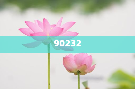 揭秘2025新澳天天開好彩大全第78期精彩瞬間，掌握彩票秘籍！，揭秘第78期新澳天天開好彩精彩瞬間，彩票秘籍大揭秘！