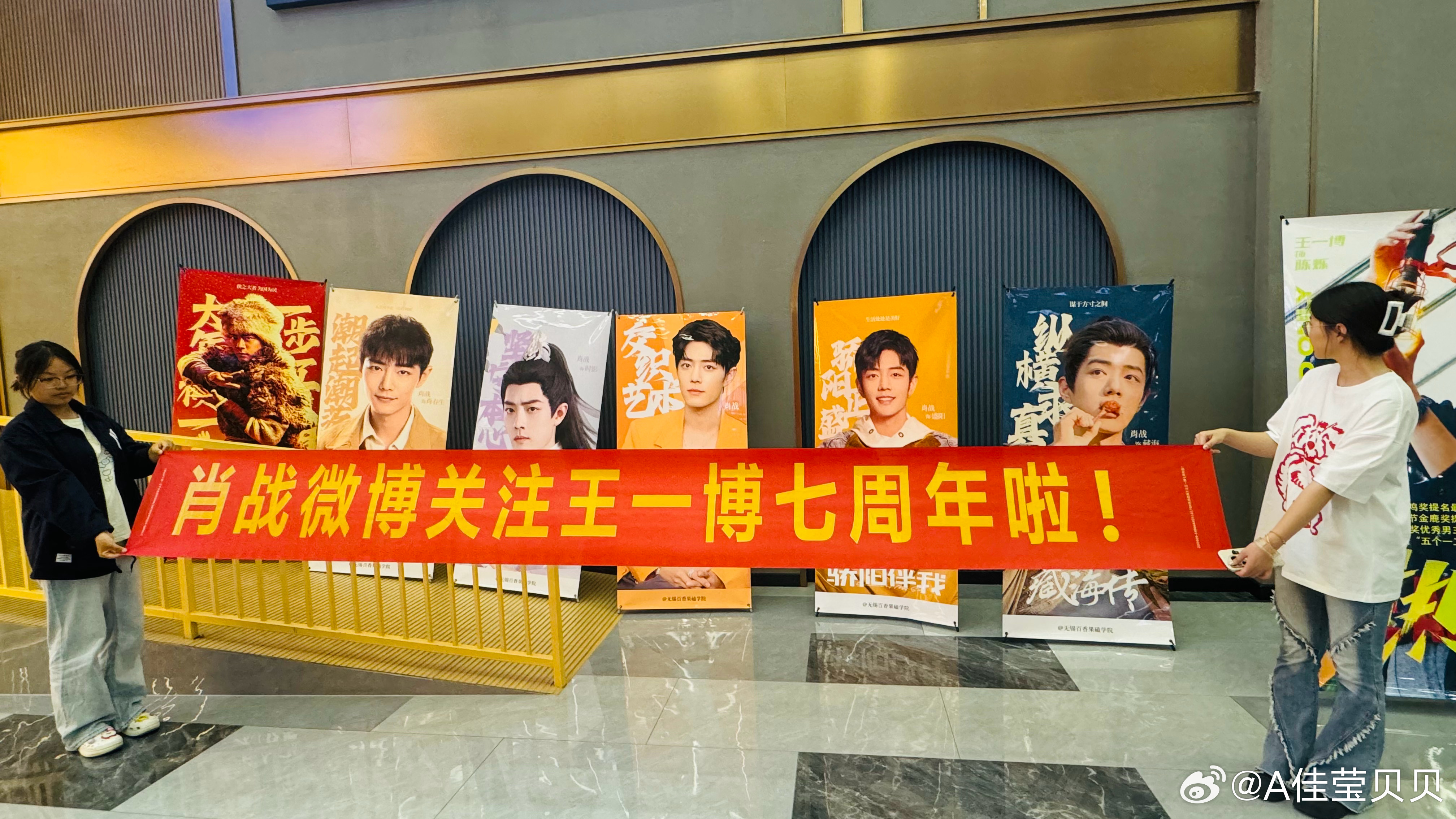 王中王資料一肖圖片，揭秘背后的故事與獨(dú)特魅力，王中王資料一肖圖片揭秘，背后的故事與獨(dú)特魅力探索