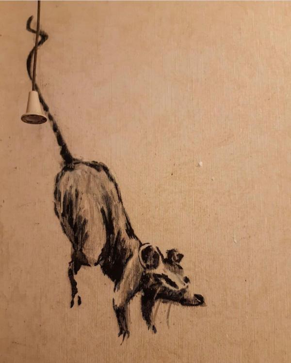 劉伯溫平特一肖109期，揭秘歷史傳奇與生肖運(yùn)勢(shì)的神秘關(guān)聯(lián)，劉伯溫平特一肖揭秘歷史傳奇與生肖運(yùn)勢(shì)的神秘聯(lián)系