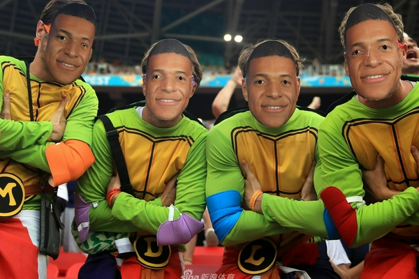 四不像正版與正版四不像，深度解析，深度解析四不像正版與正版四不像現(xiàn)象