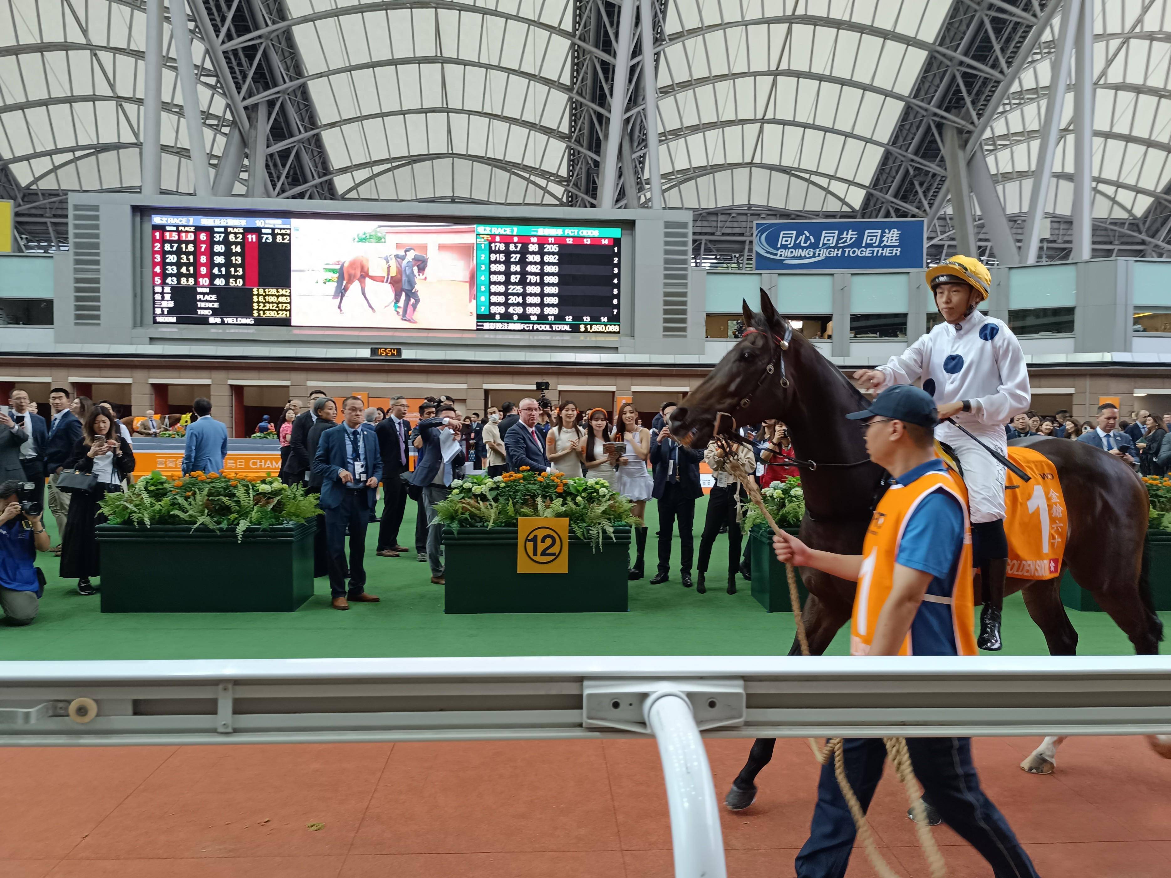 香港王中王一肖中特馬的奧秘與探索，香港王中王一肖中特馬的奧秘探索之旅