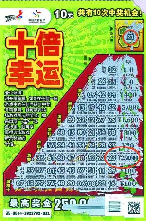 王中王平特一肖好彩頭——揭秘好運(yùn)背后的秘密，揭秘好運(yùn)背后的秘密，王中王平特一肖好彩頭解析