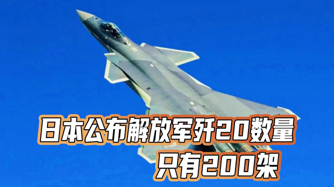 關(guān)于日本公布?xì)?20數(shù)量的探討，日本公布?xì)?20數(shù)量的深度探討