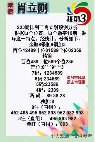 王中王三肖一碼資料，深度解析與SEO優(yōu)化策略，王中王三肖一碼資料深度解析與SEO優(yōu)化策略全攻略