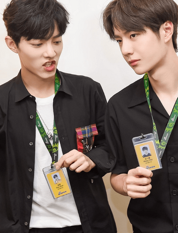 王中王一肖中特料，探尋背后的秘密與獨(dú)特之處，揭秘王中王一肖特料背后的獨(dú)特秘密