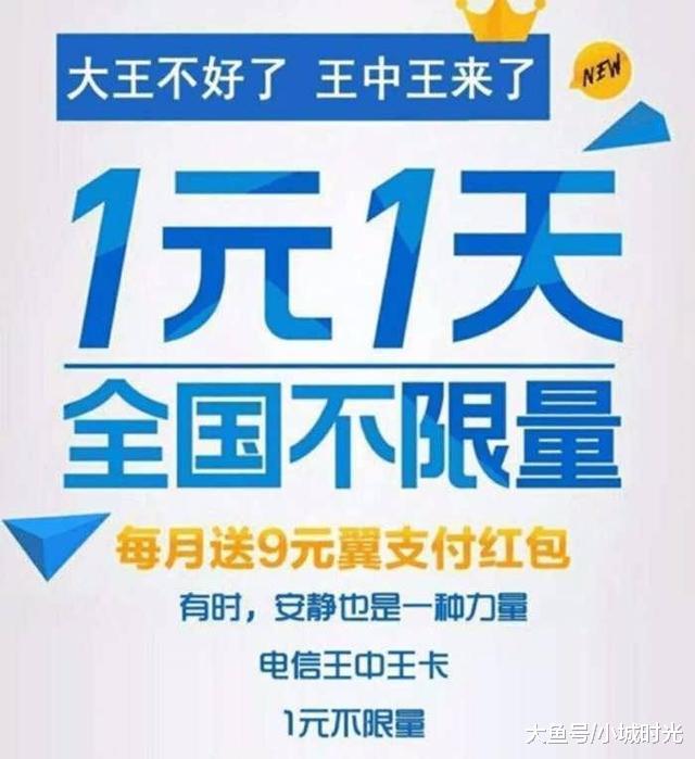 王中王新四不像一肖，揭秘背后的神秘面紗與SEO策略洞察，揭秘王中王新四不像一肖背后的神秘面紗與SEO策略洞察