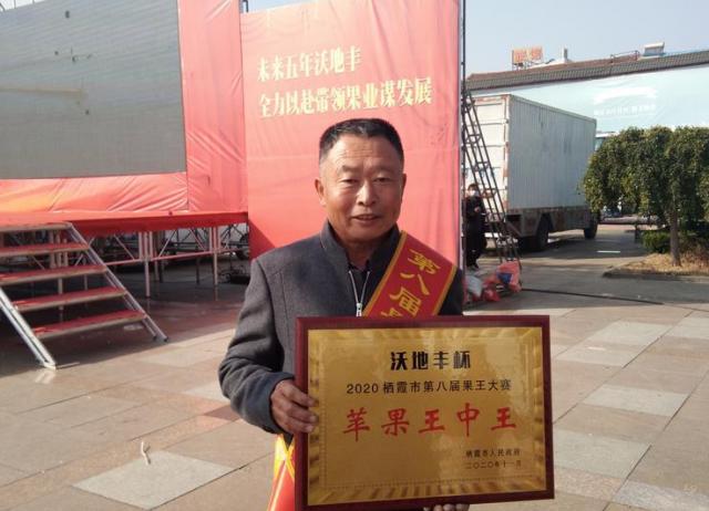 正版王中王一肖8碼中特，探索背后的秘密與真相，正版王中王一肖8碼中特，揭秘背后的真相與秘密