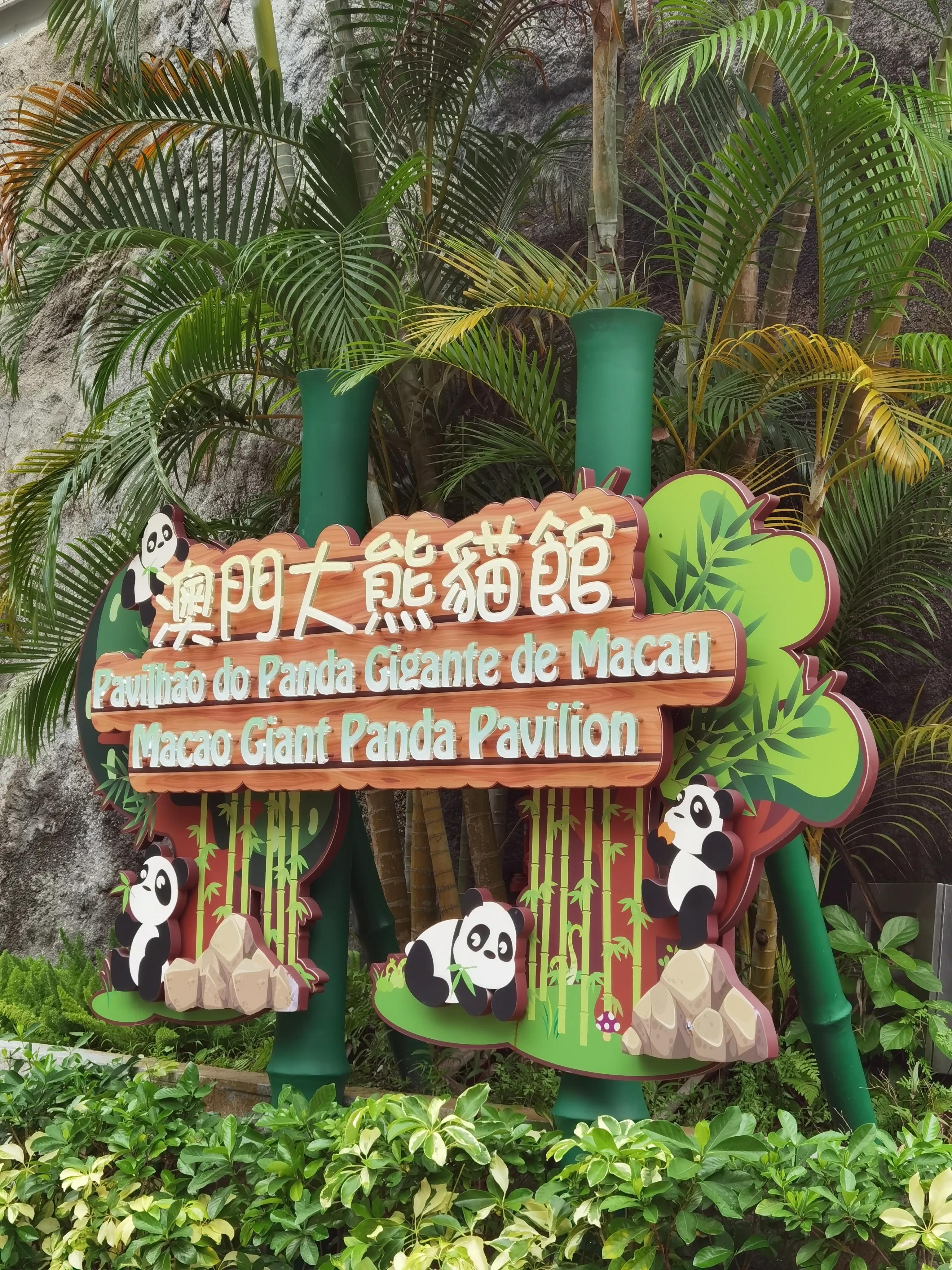 澳門246最快開(kāi)獎(jiǎng)直播，探索實(shí)時(shí)開(kāi)獎(jiǎng)的魅力與優(yōu)勢(shì)，澳門246實(shí)時(shí)開(kāi)獎(jiǎng)直播，體驗(yàn)實(shí)時(shí)開(kāi)獎(jiǎng)的魅力與優(yōu)勢(shì)