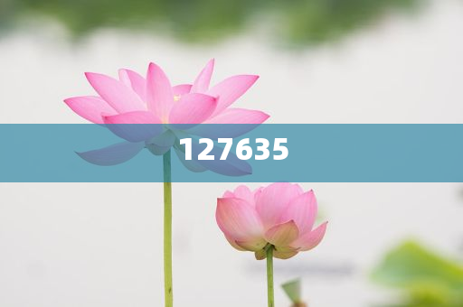 揭秘7777788888精準(zhǔn)新傳真，一切你所需要知道的，揭秘精準(zhǔn)新傳真，你所需要知道的關(guān)于77777與88888的一切秘密