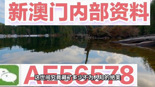 澳門精準(zhǔn)四不像，探索未來的奧秘與機遇（2025展望），澳門未來展望，精準(zhǔn)四不像的探索與機遇（2025年展望）