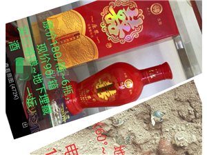 王中王一肖論一壇，深度探討與SEO優(yōu)化策略，王中王一肖論壇，深度探討與SEO優(yōu)化策略分享