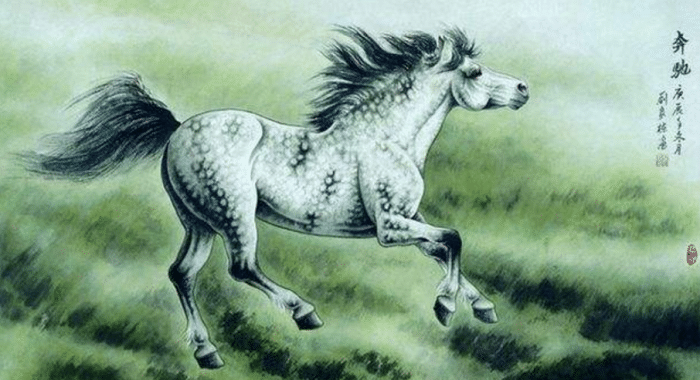 千里馬一肖王中王，探尋卓越與領(lǐng)袖的完美結(jié)合，千里馬一肖王中王，卓越與領(lǐng)袖的完美結(jié)合探尋