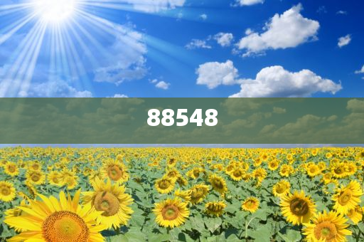 新澳2025精準(zhǔn)免費(fèi)大全，全方位指南與秘籍，新澳2025精準(zhǔn)免費(fèi)指南與秘籍大全