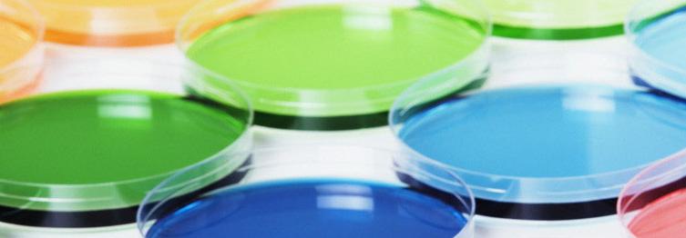 雅克47重型戰(zhàn)斗機(jī)，卓越性能與獨(dú)特設(shè)計(jì)的完美結(jié)合，雅克47重型戰(zhàn)斗機(jī)，卓越性能與獨(dú)特設(shè)計(jì)的巔峰之作