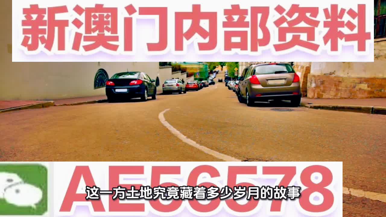 澳門內(nèi)部四肖八碼期與鳳凰網(wǎng)，深度解讀與SEO策略探討，澳門內(nèi)部四肖八碼期與鳳凰網(wǎng)，深度解讀與SEO策略探討全解析