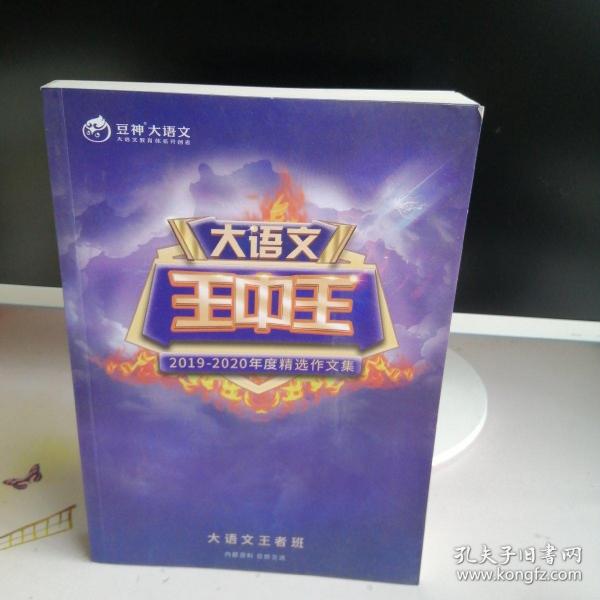 關(guān)于2019王中王資料C一肖中的深度解析，2019王中王資料C一肖深度解析與揭秘