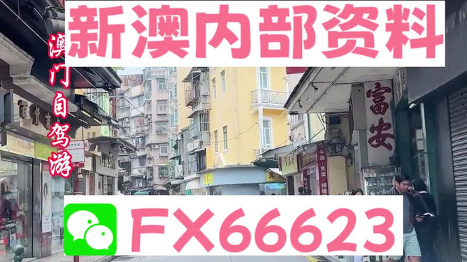 新澳精準(zhǔn)資料免費(fèi)提供221期，探索前沿資訊的海洋，新澳精準(zhǔn)資料221期探索前沿資訊海洋的免費(fèi)資訊分享