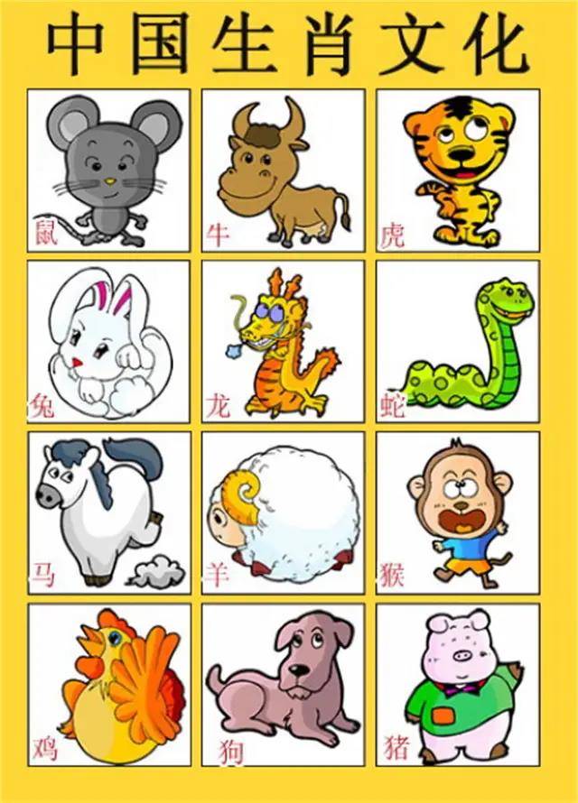 一肖有哪些生肖——生肖文化深度解析，生肖文化深度解析，揭秘十二生肖中的一肖奧秘