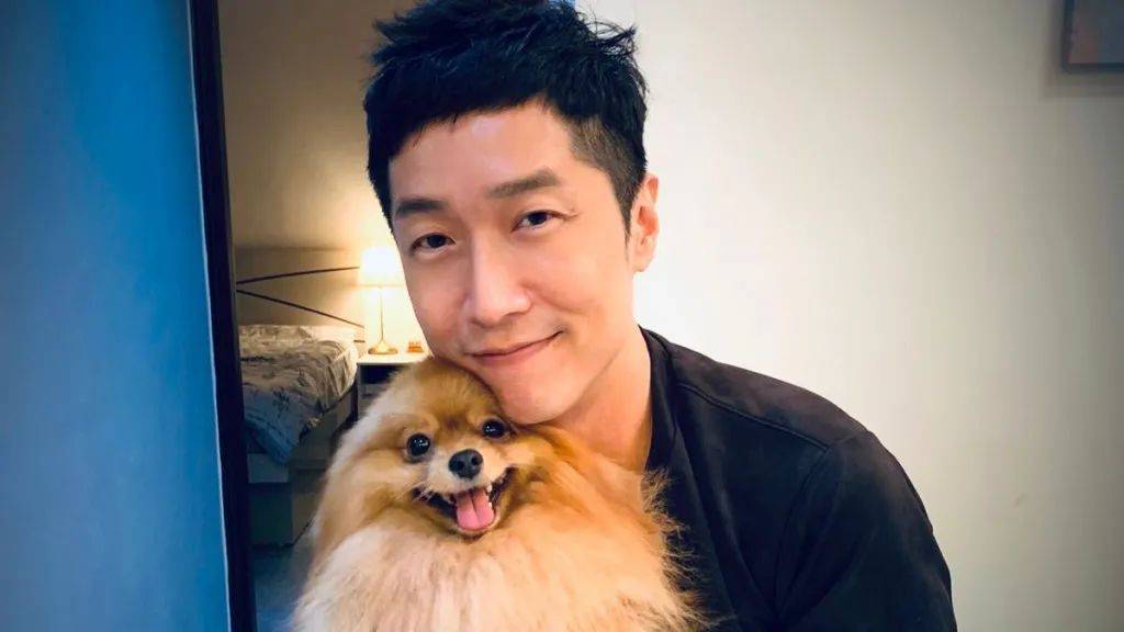 香港四不像劉伯溫必中一肖——揭秘彩票背后的秘密，揭秘彩票背后的秘密，劉伯溫四不像預(yù)測(cè)與香港必中生肖彩票解析