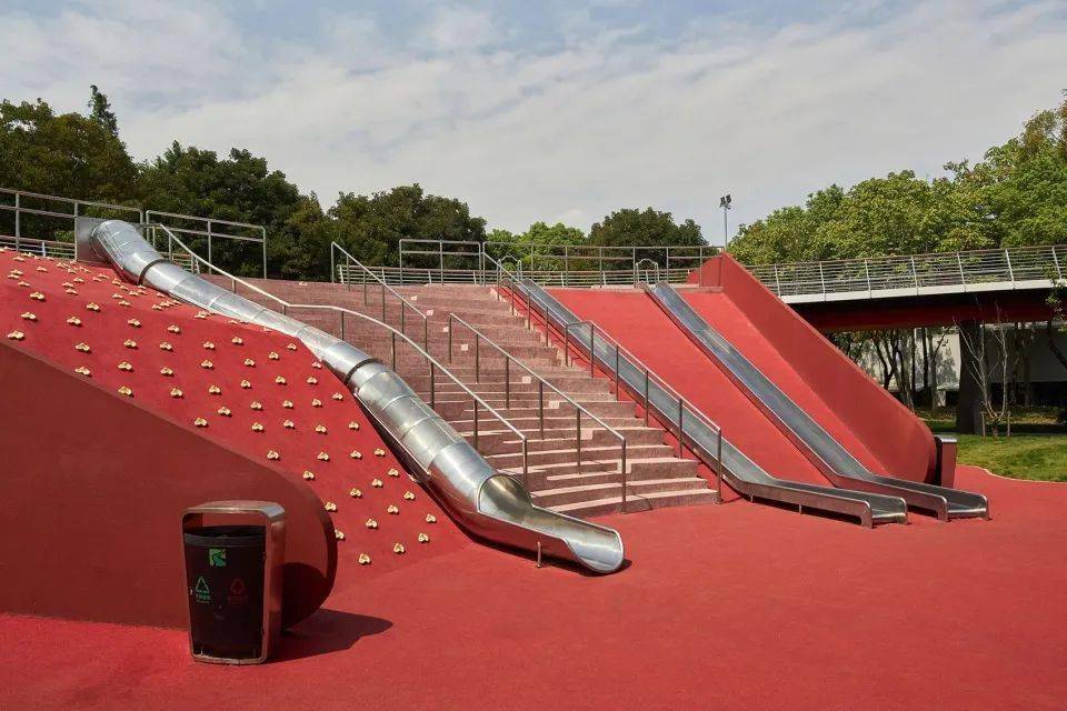 茂蜜森林中的王者，揭秘生肖之王——王中王的神秘面紗與生肖關(guān)聯(lián)，揭秘生肖之王，森林王者與生肖之王的神秘面紗關(guān)聯(lián)