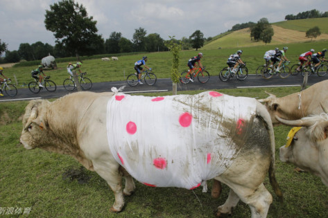 三肖一碼王中王，揭秘背后的秘密與SEO策略，揭秘三肖一碼王中王背后的秘密與SEO策略之道