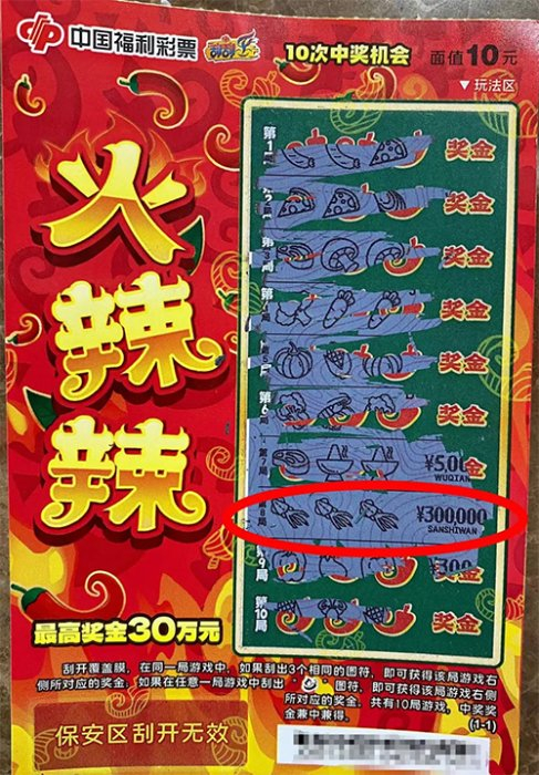 王中王21期指一生肖，深度解析與預(yù)測，王中王21期生肖深度解析與預(yù)測，揭秘未來走向