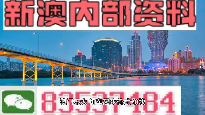 2025新澳門資料大全（第123期），探索澳門未來之旅的必備指南，澳門未來之旅探索指南，澳門新資料大全（第123期）